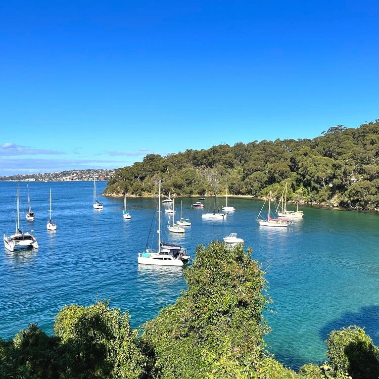 Taylors Bay in Mosman