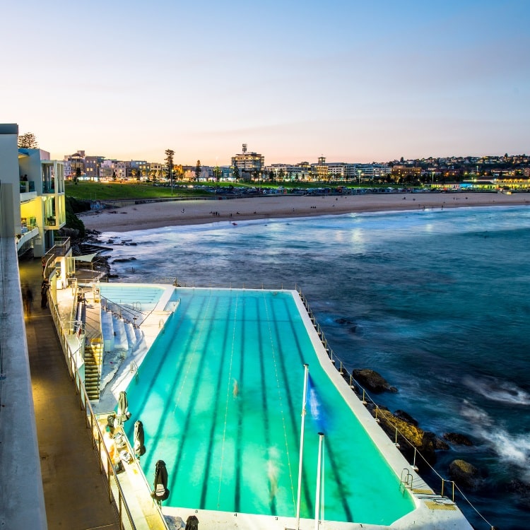 Bondi Icebergs