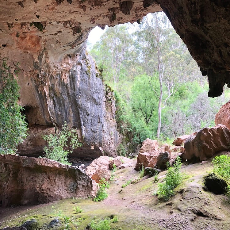 Arch Cave in Borenore Karst Conservation Reserve