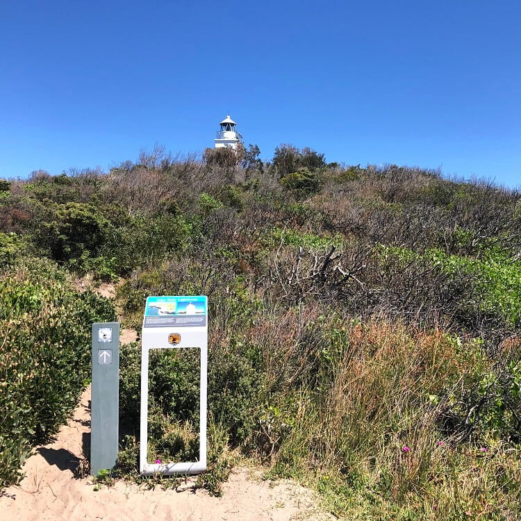 Path up to the Cape Baily Lighthouse