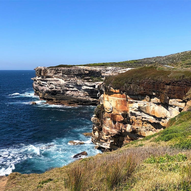 Coastal views from the Cape Baily Track