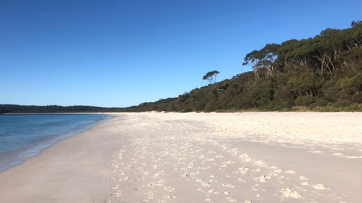 Best beaches in NSW
