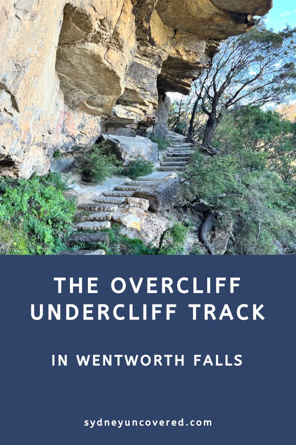 Overcliff Undercliff Track in Wentworth Falls