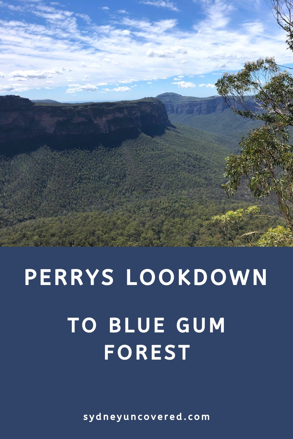 Perrys Lookdown to Blue Gum Forest