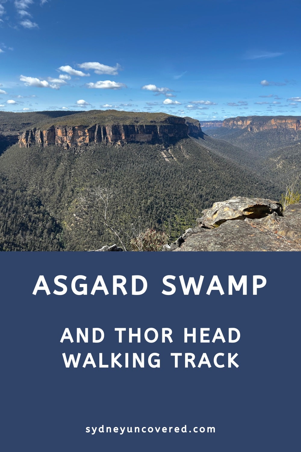 Asgard Swamp and Thor Head Walking Track