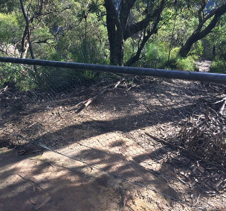 Old access point to the Belmore Falls base track