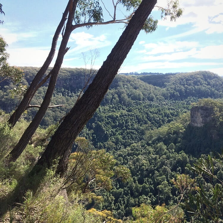 Upper Kangaroo Valley views