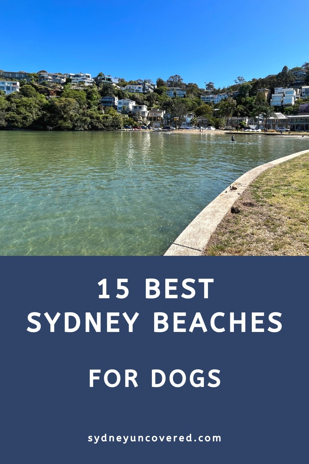 15 Dog friendly Sydney beaches