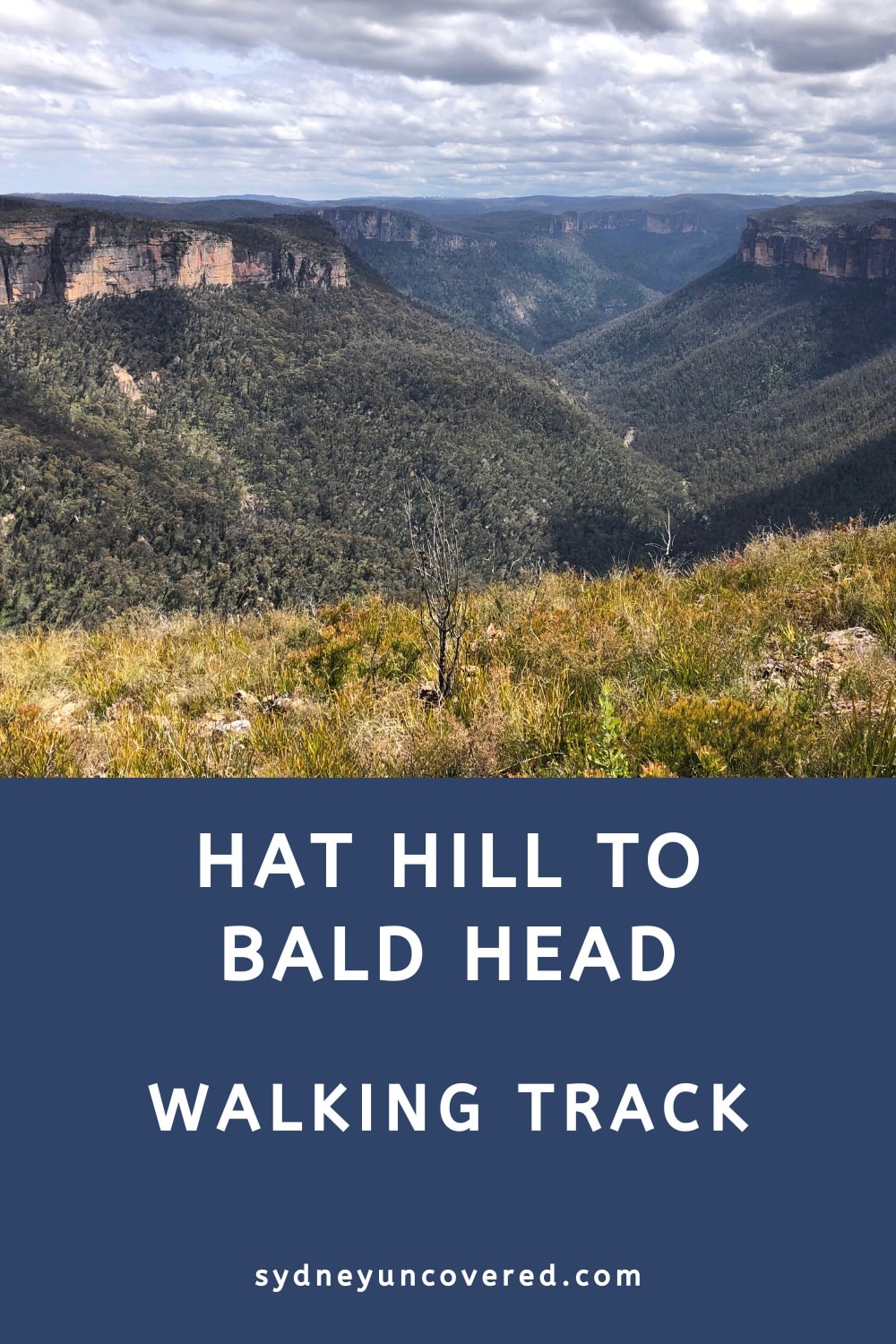Hat Hill to Bald Head walking track