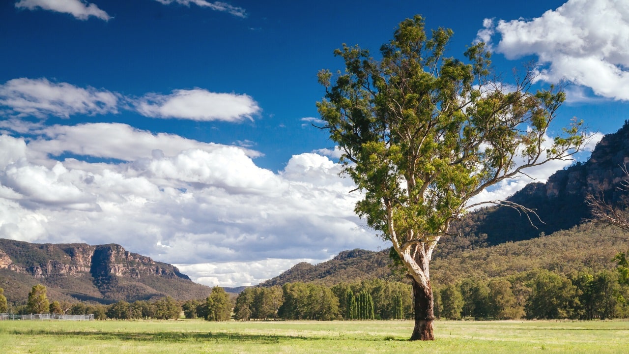 Luxury Accommodation In The Hunter Valley (7 Great Hotels)