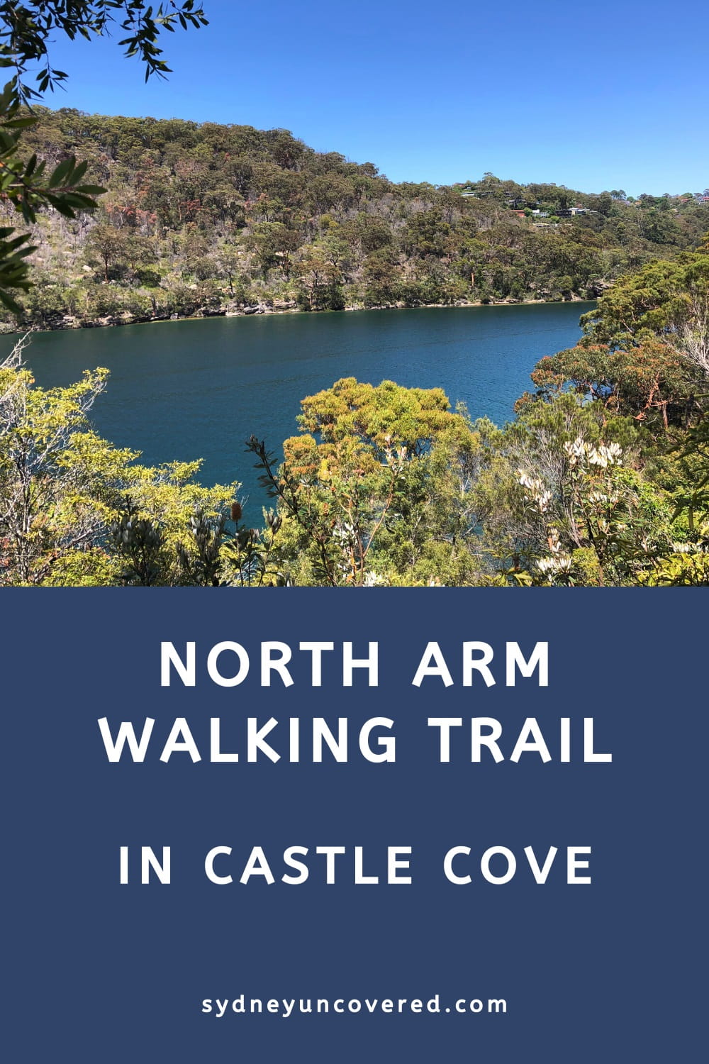 North Arm walking track in Castle Cove