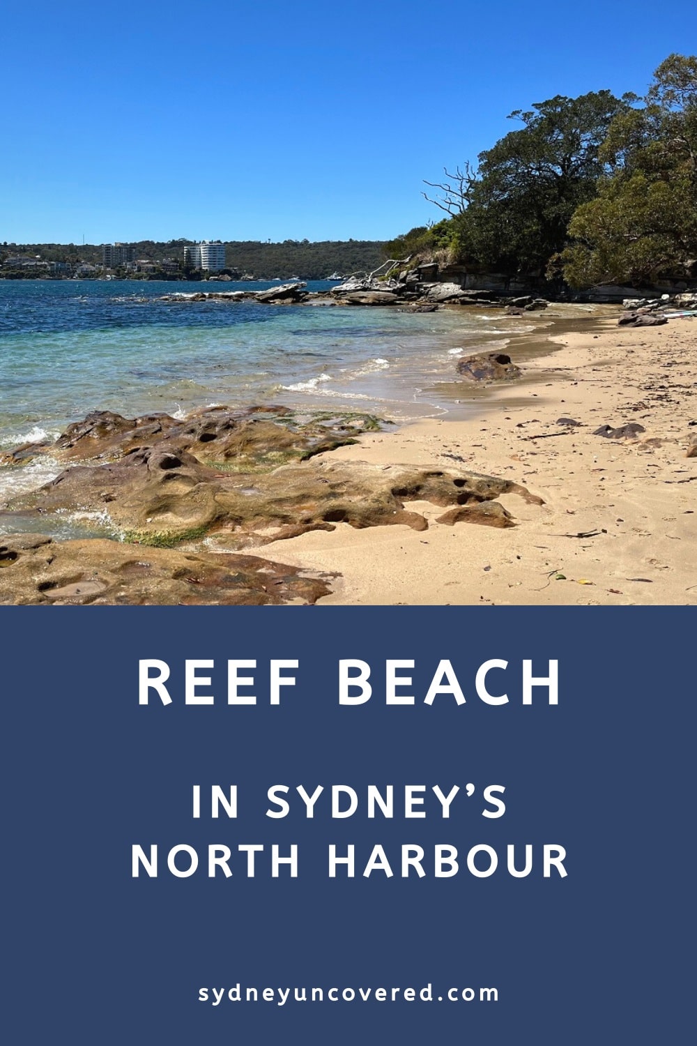 Reef Beach in Sydney's North Harbour