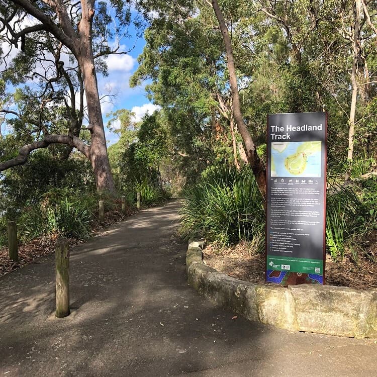 The Headland Track in Oatley Park