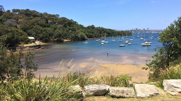 Discover Sirius Cove Reserve and Beach in Mosman