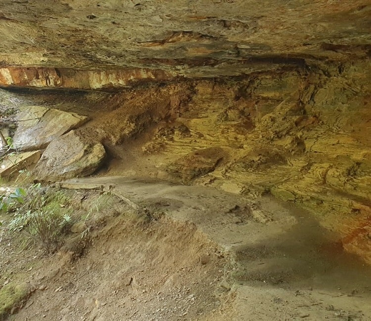 Birdwood Gully Cave