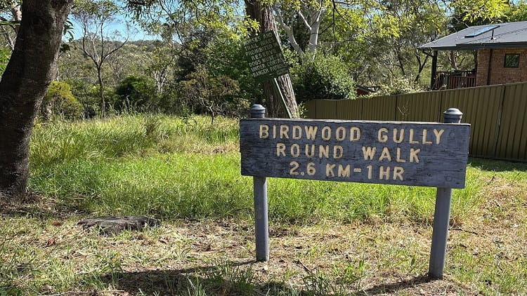 Birdwood Gully Walk in Springwood