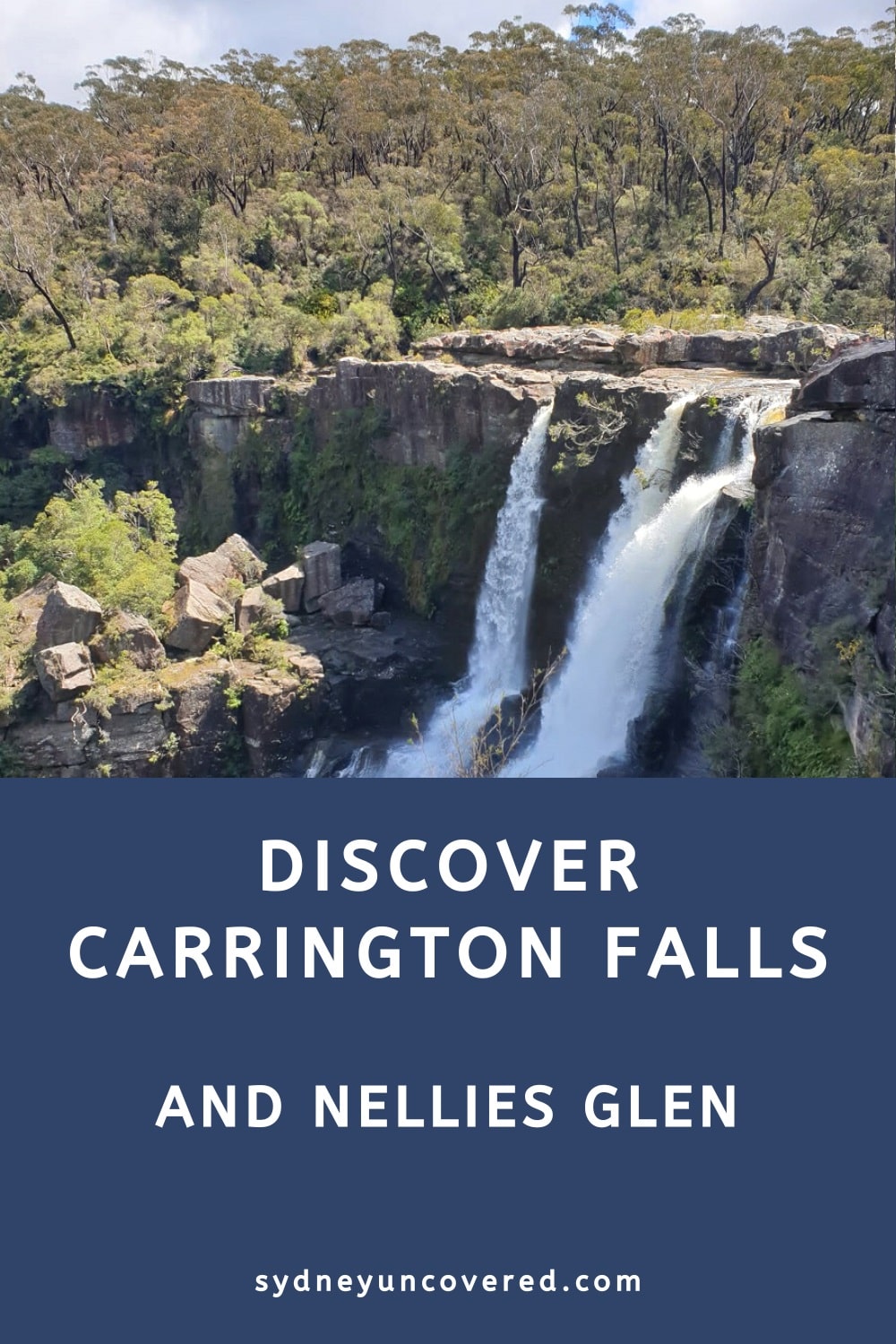 Carrington Falls and Nellies Glen in Budderoo National Park