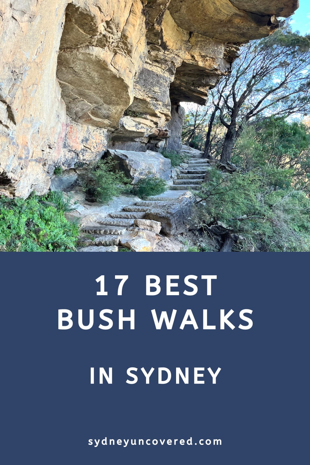 17 Best Sydney bush walks