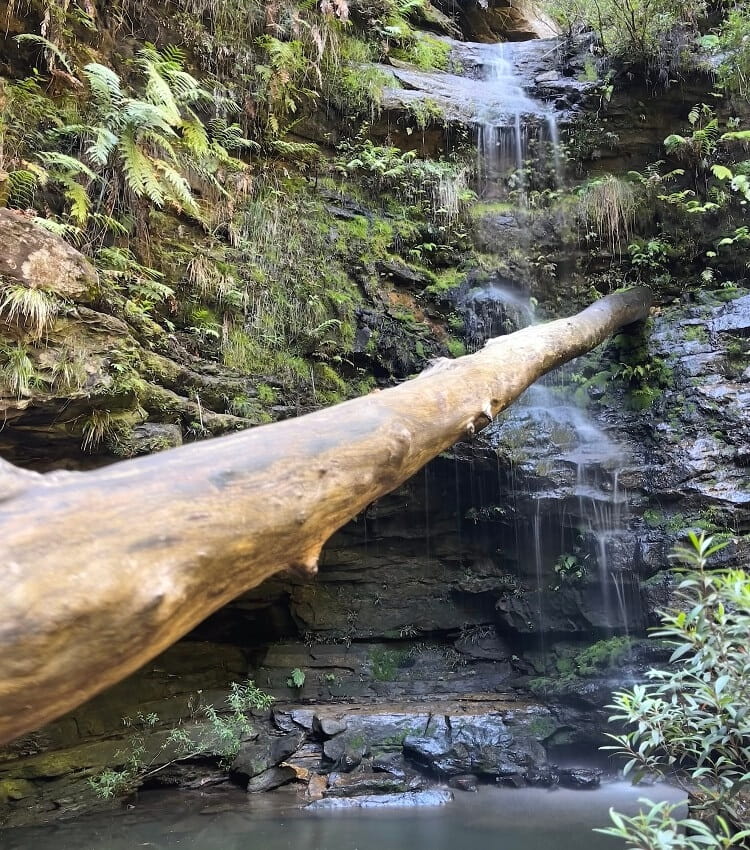 Dantes Glen Waterfall in North Lawson