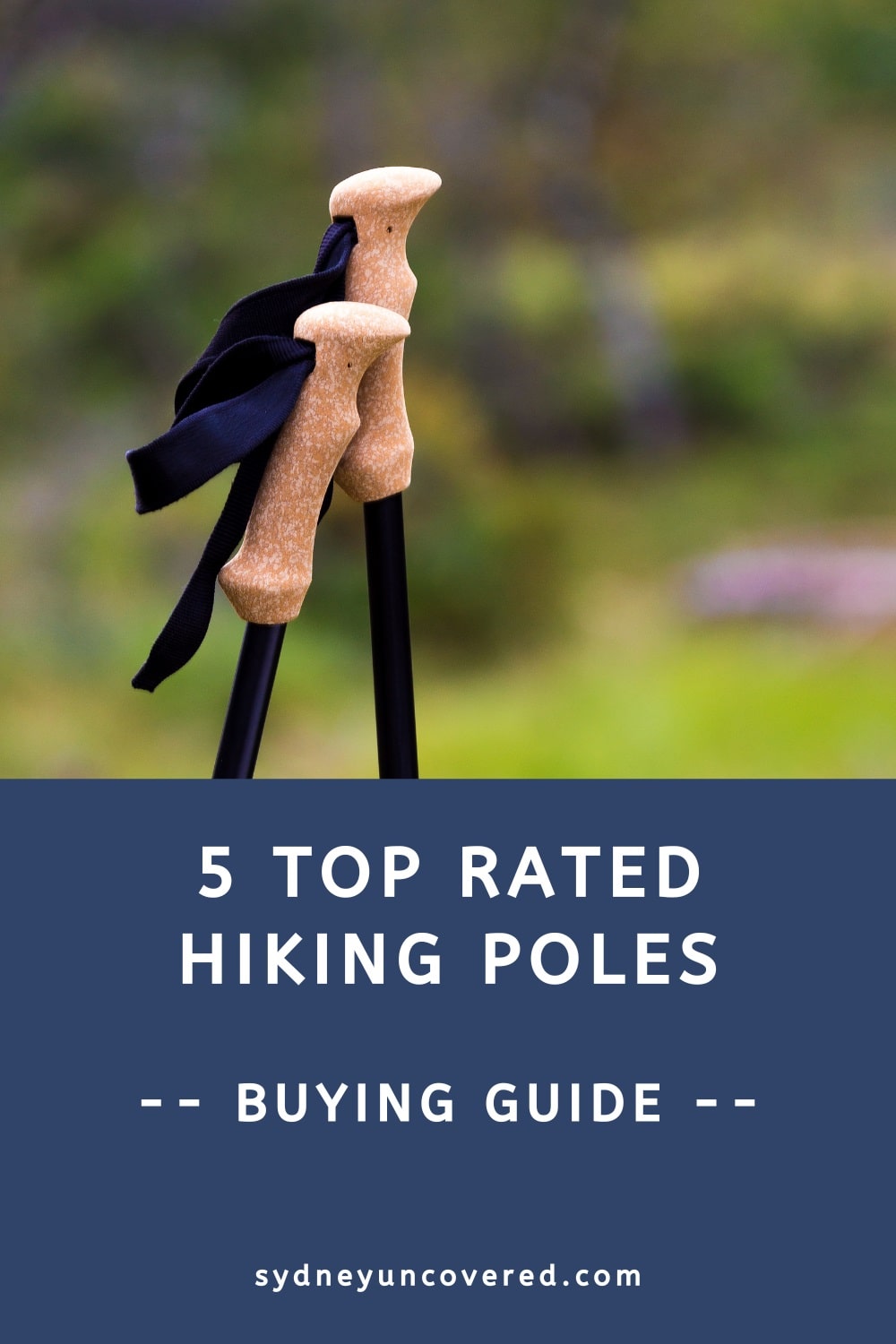 5 Top rated hiking poles (buying guide)