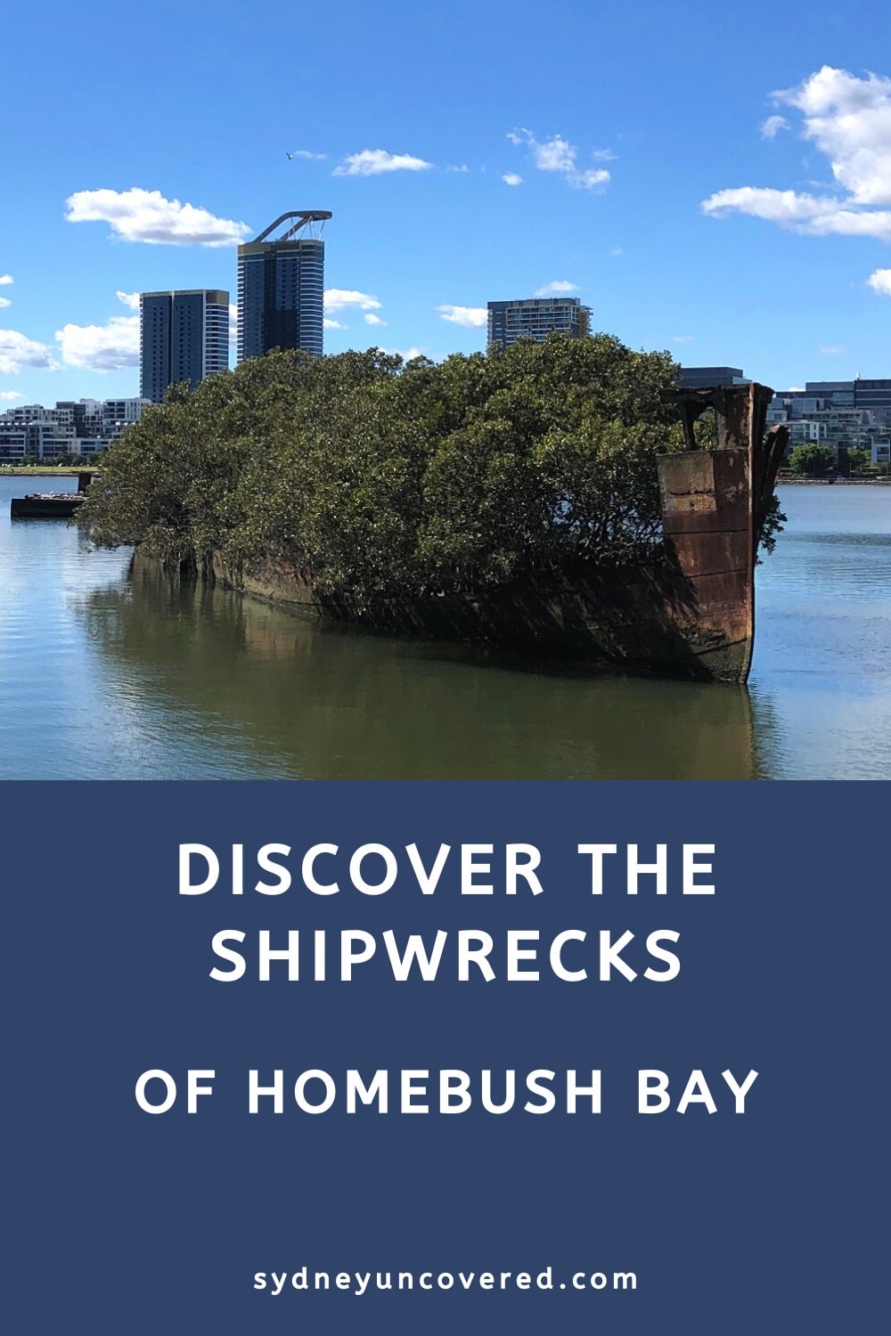 The shipwrecks of Homebush Bay