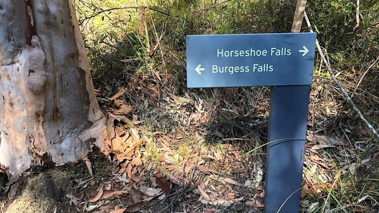 Horseshoe Falls walking track in Hazelbrook