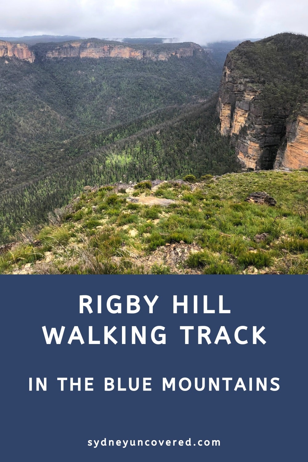 Rigby Hill Walking Track in the Blue Mountains