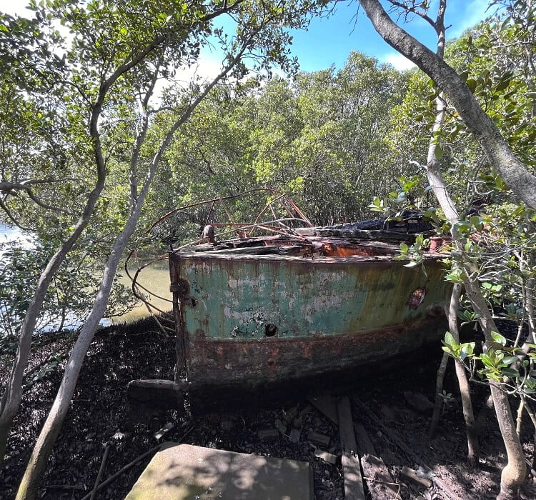 Unknown shipwreck in Homebush Bay