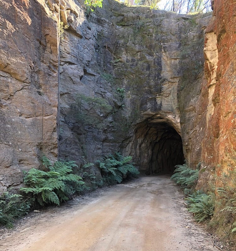 Glowworm Tunnel Road