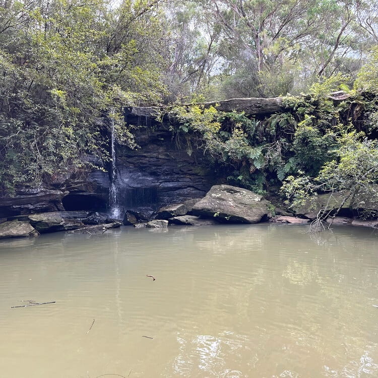 Manly Creek Waterfall