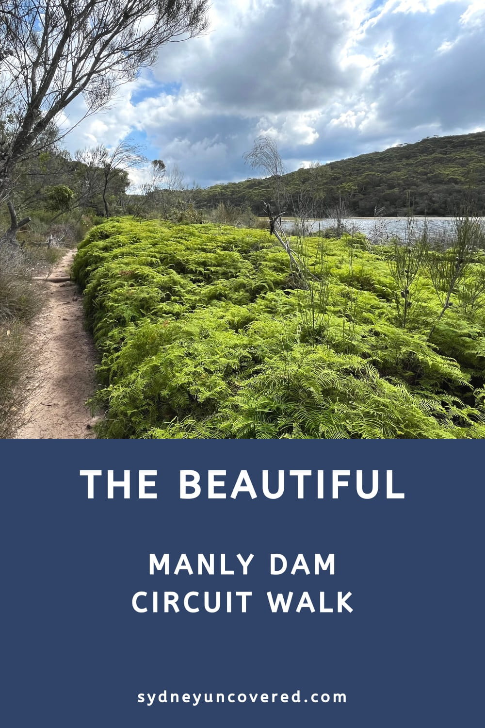 Manly Dam Circuit Walk