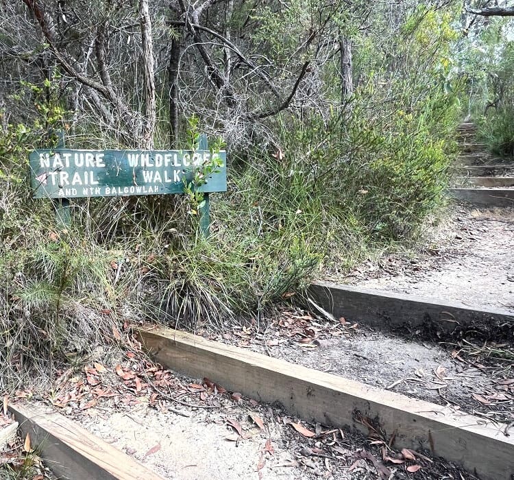 Nature Trail and Wildflower Walk junction
