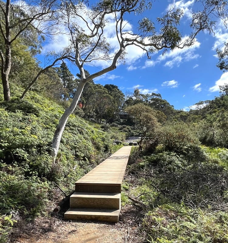 Path along the Darwins Walk