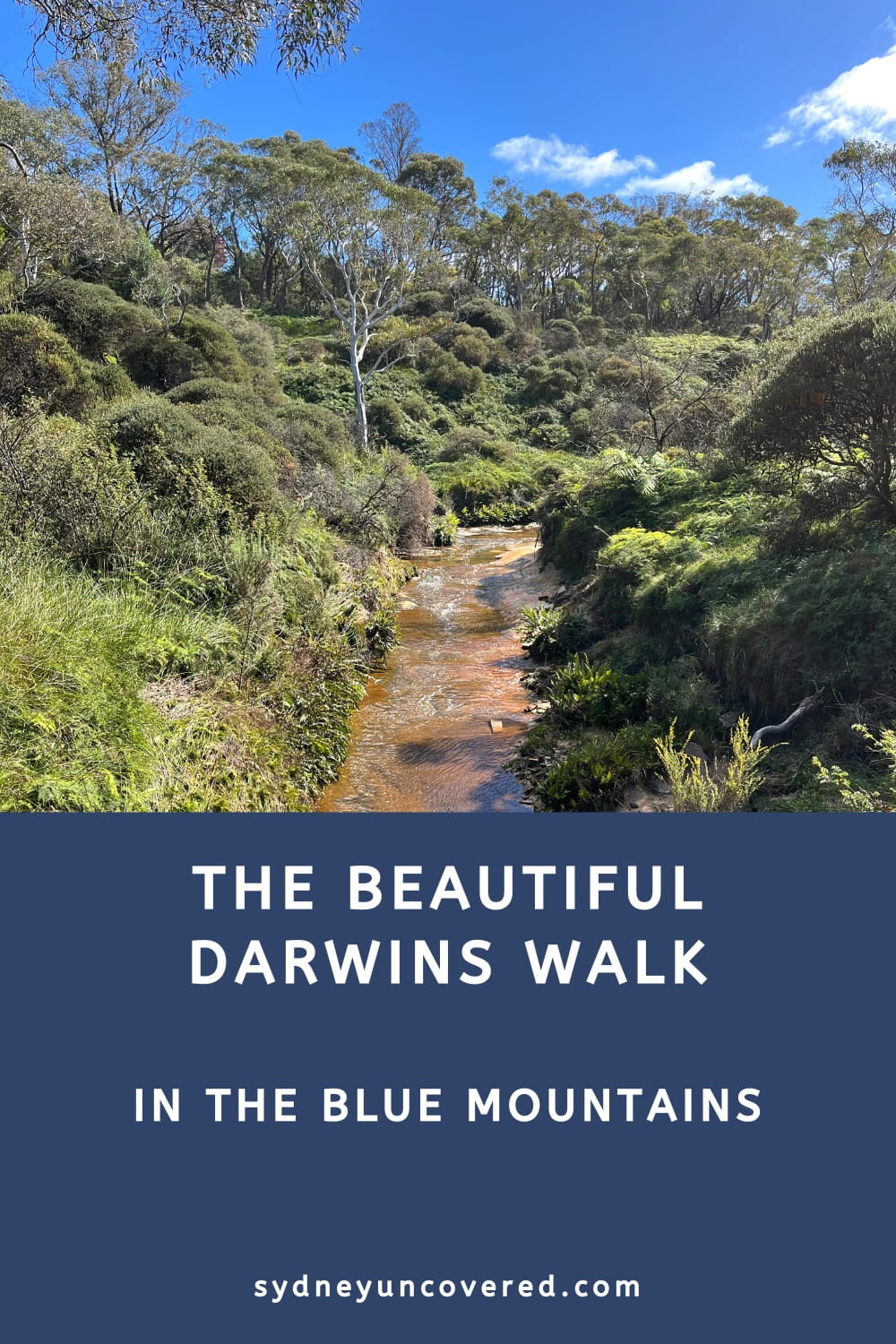 The beautiful Darwins Walk in the Blue Mountains