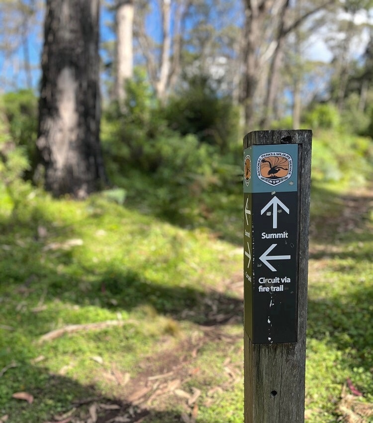 Junction of the two trails to Mount Banks