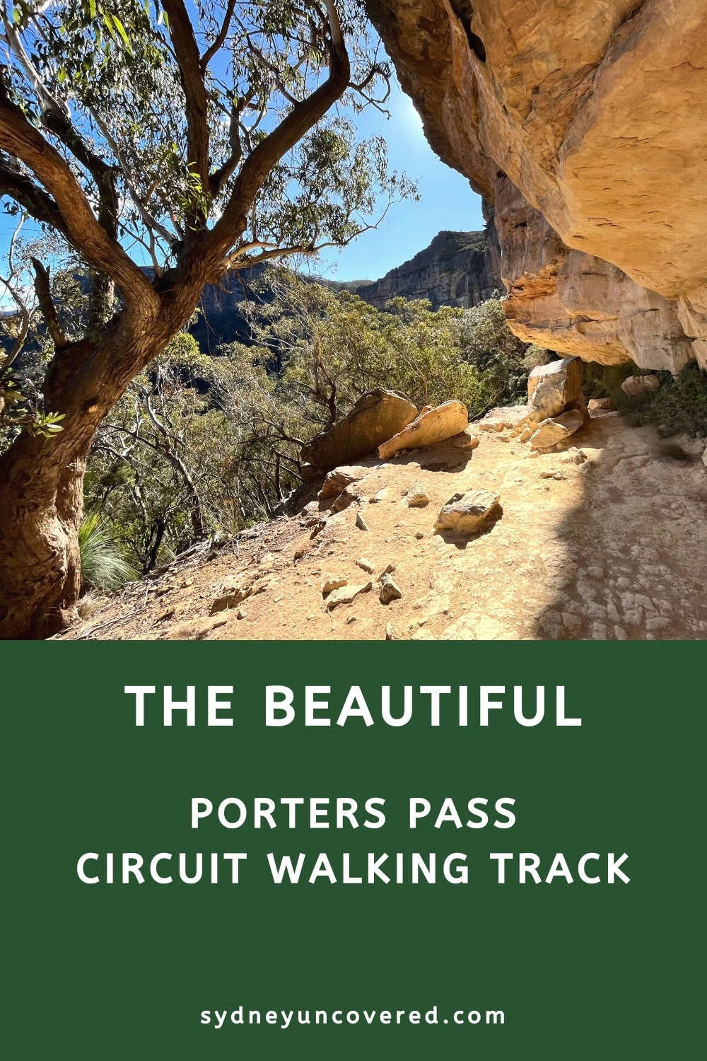 The beautiful Porters Pass Circuit Walking Track