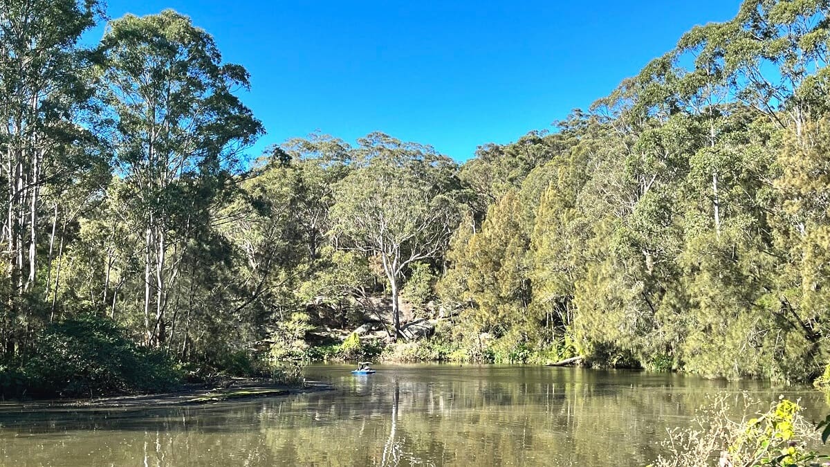 Lane Cove River