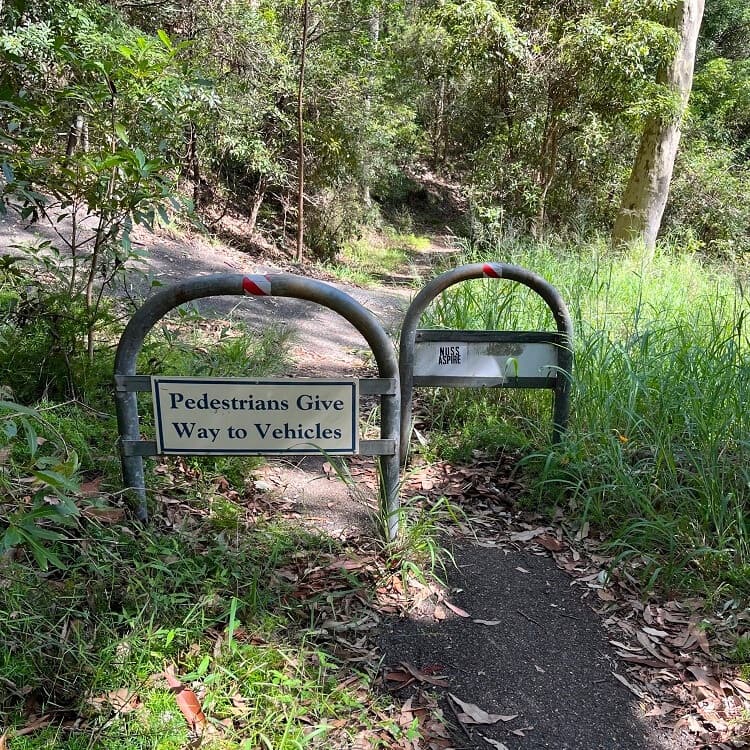 Intersection with driveway