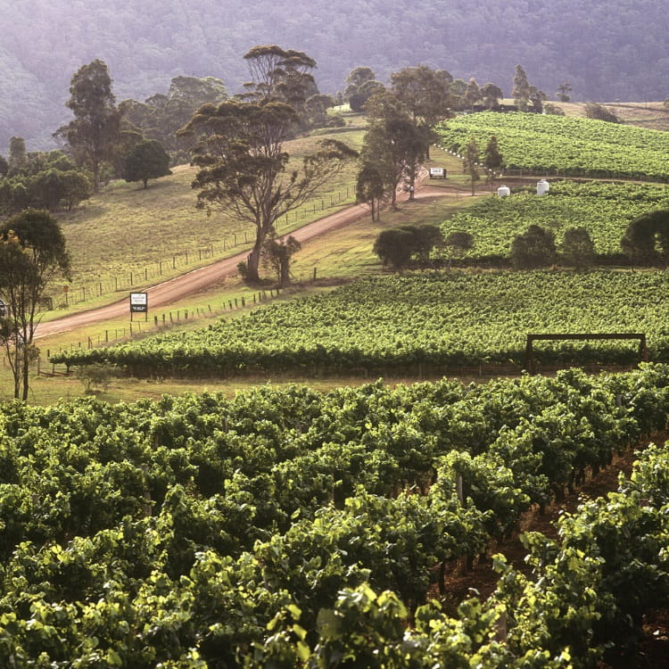 Hunter Valley