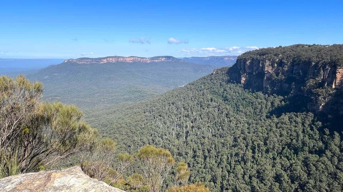 Gladstone Lookout via Lillians Bridge Track