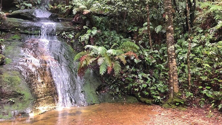 Mermaids Cave Walk in Blackheath