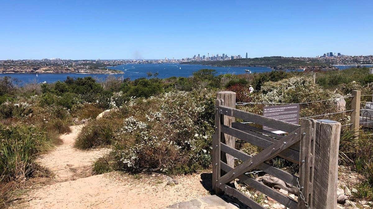 North Head Walk in Manly