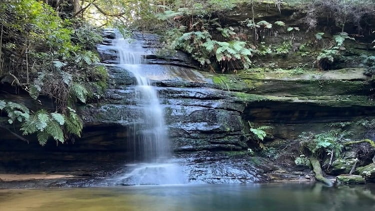 Pool of Siloam and Lyrebird Dell Circuit Walk