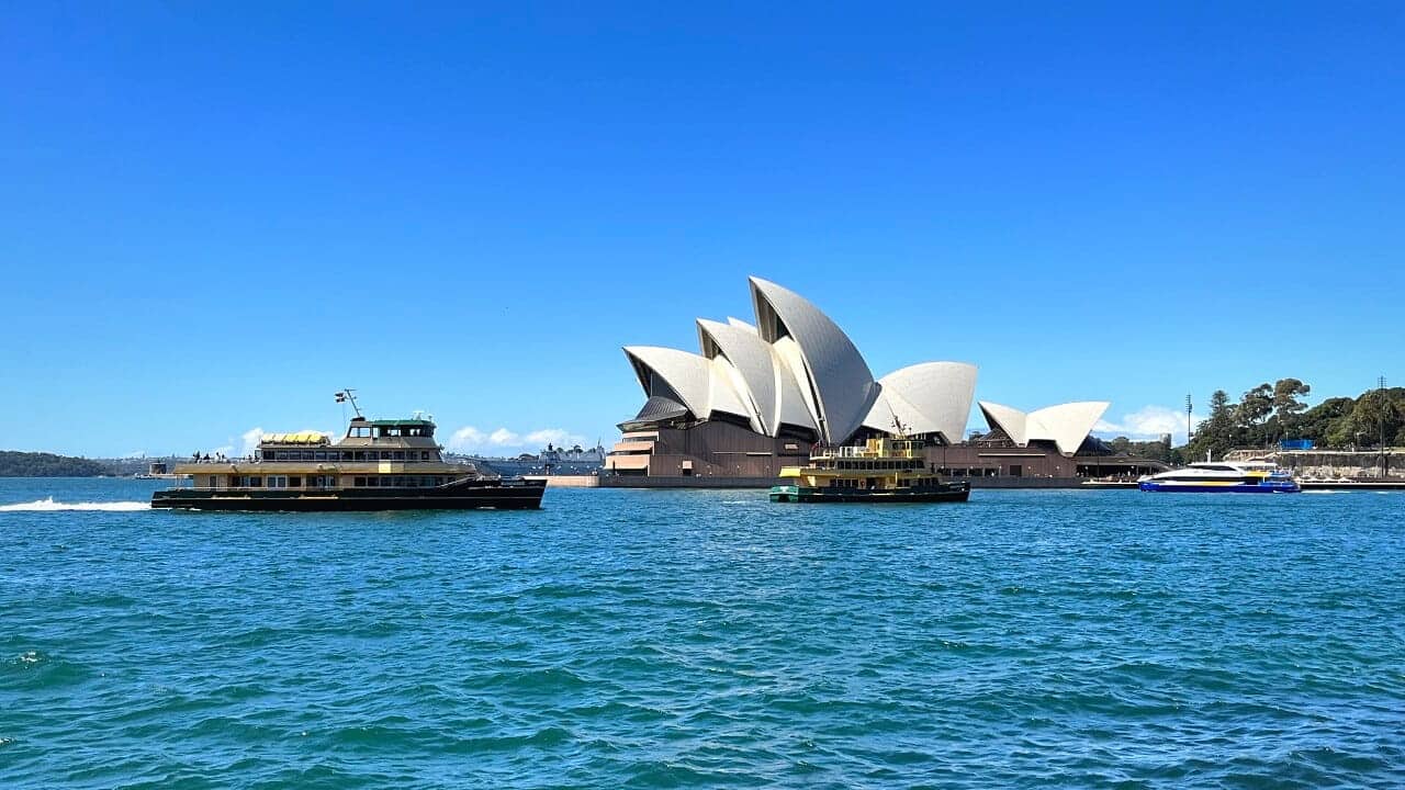 Sydney Uncovered
