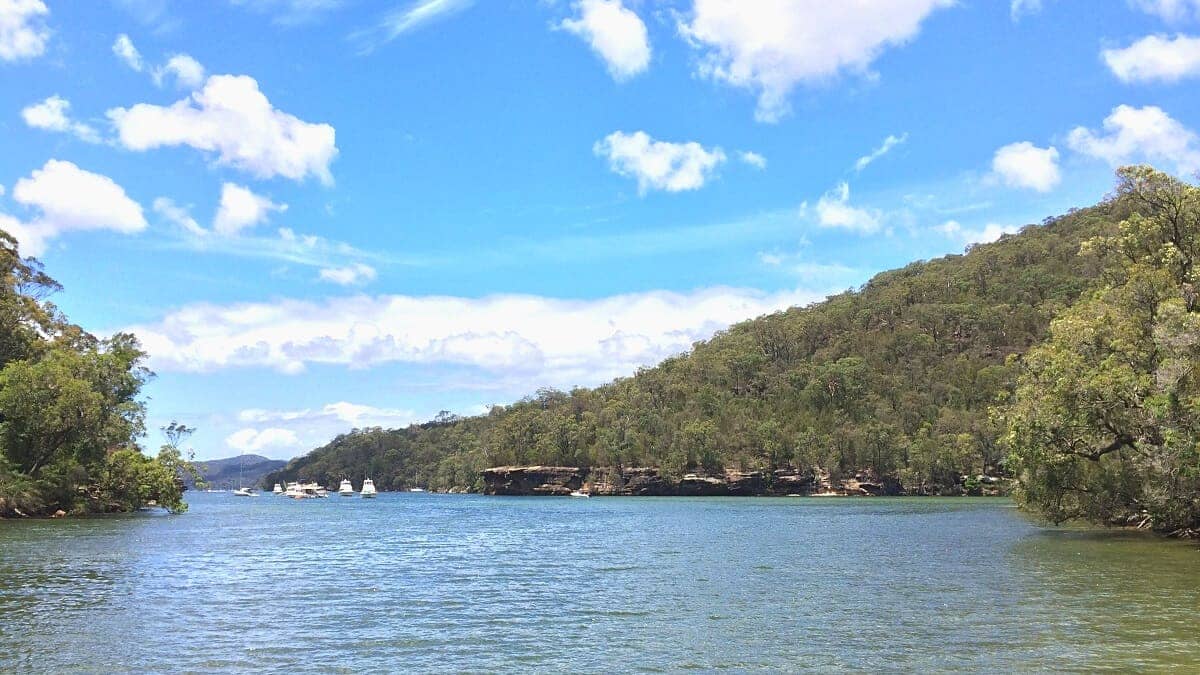Cowan to Jerusalem Bay Walking Track