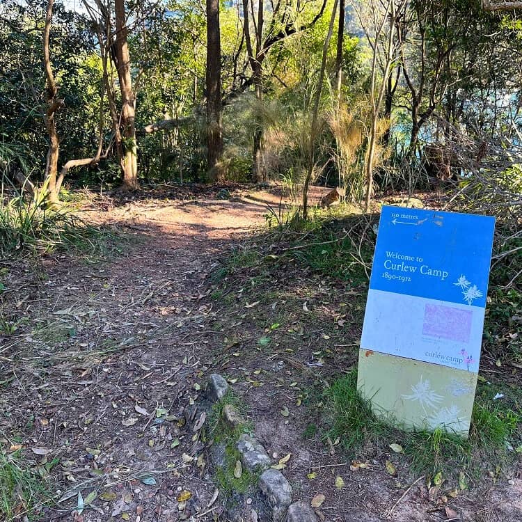 Track to Curlew Camp
