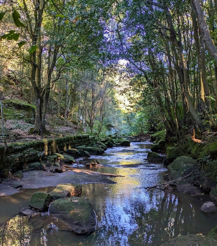 Flat Rock Creek