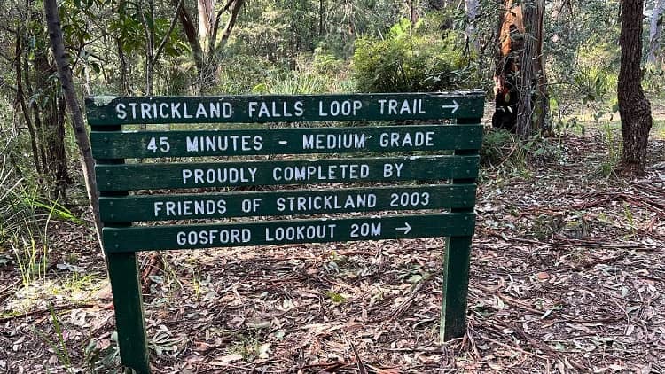 Strickland Falls Loop Trail in Somersby