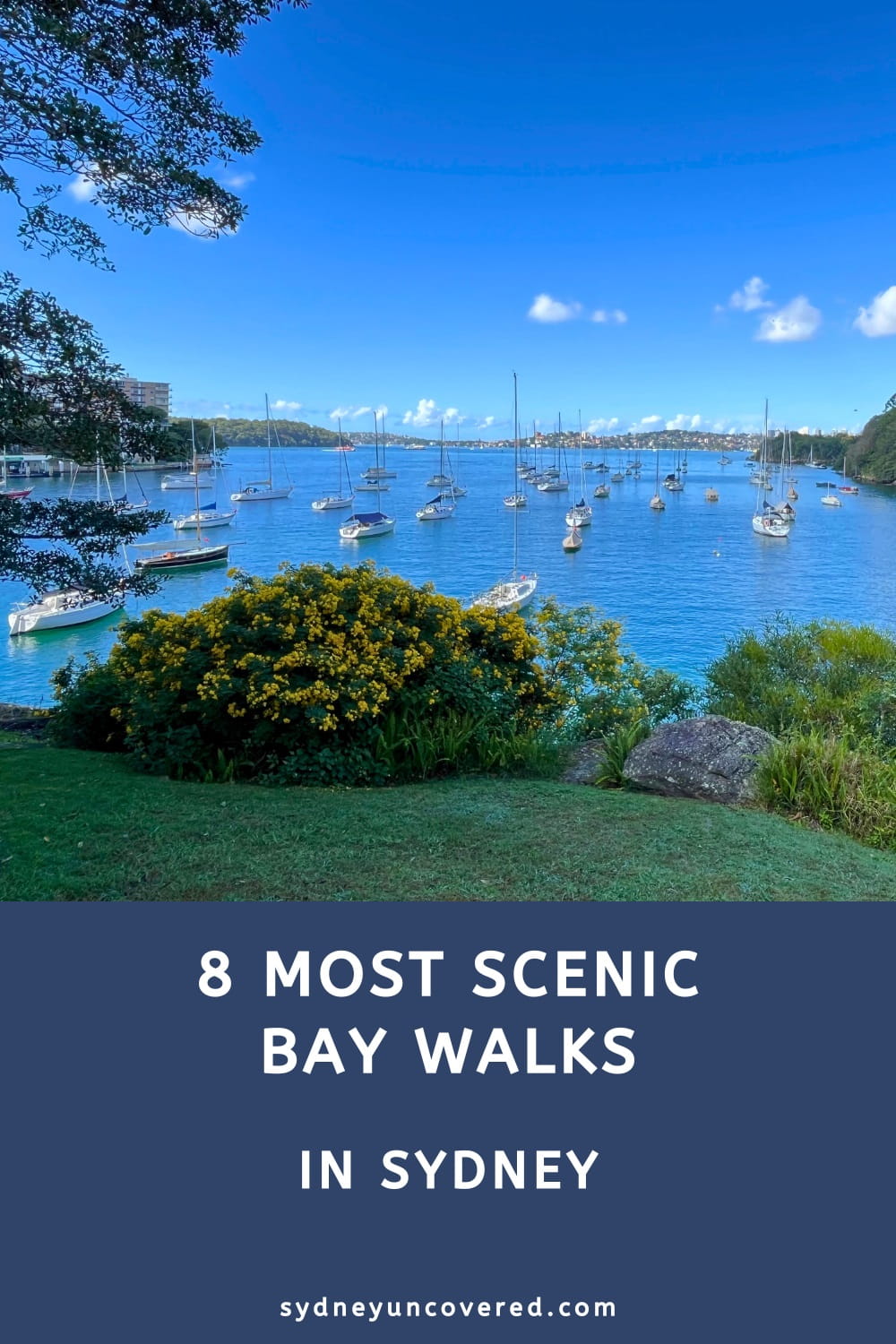 8 Most scenic bay walks in Sydney