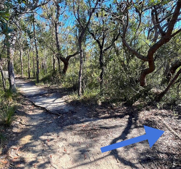 Side trail to Aboriginal engravings site